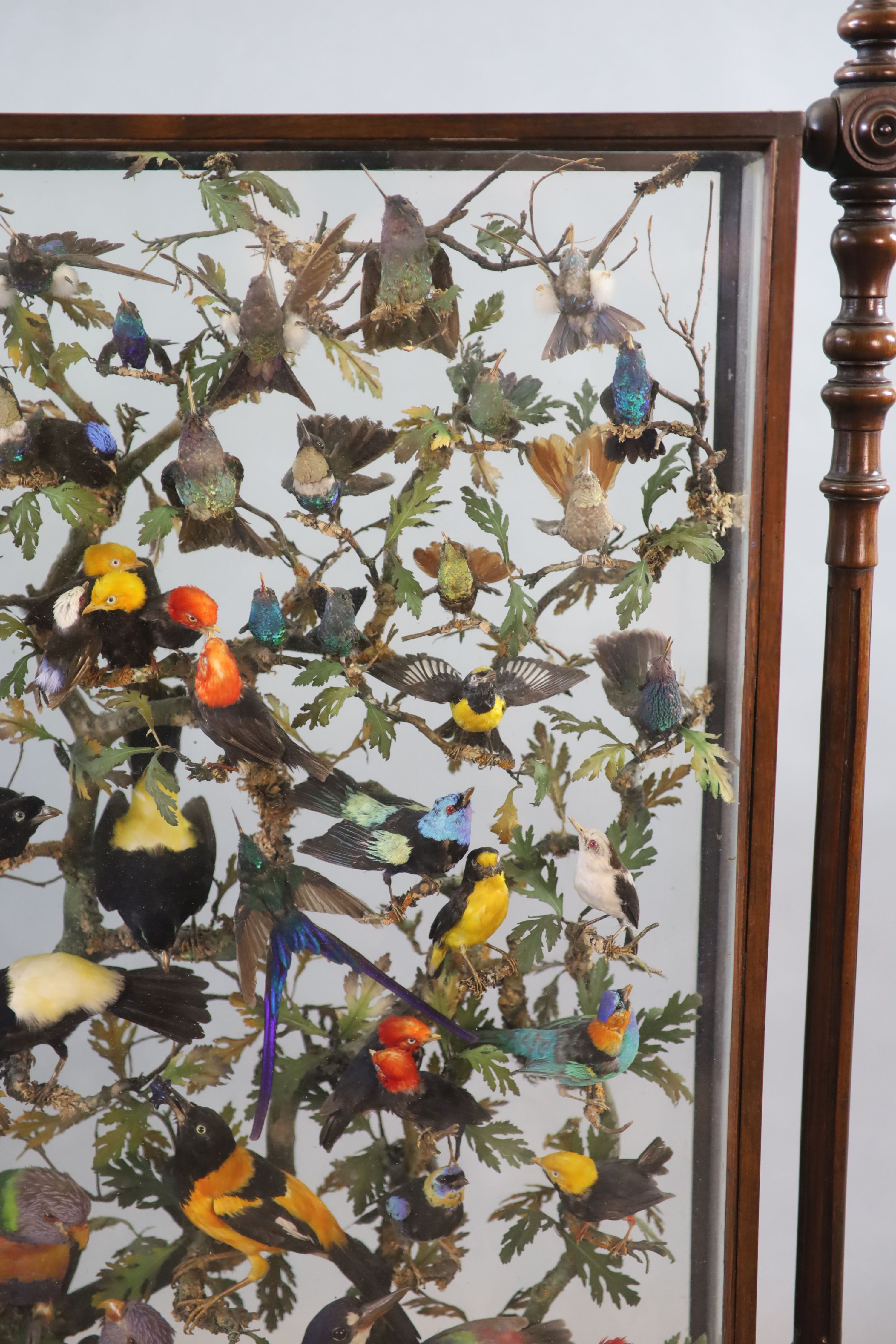 A large and impressive arboreal taxidermy arrangement, 19th century 72cm wide, 14cm deep, 137cm high (maximum)